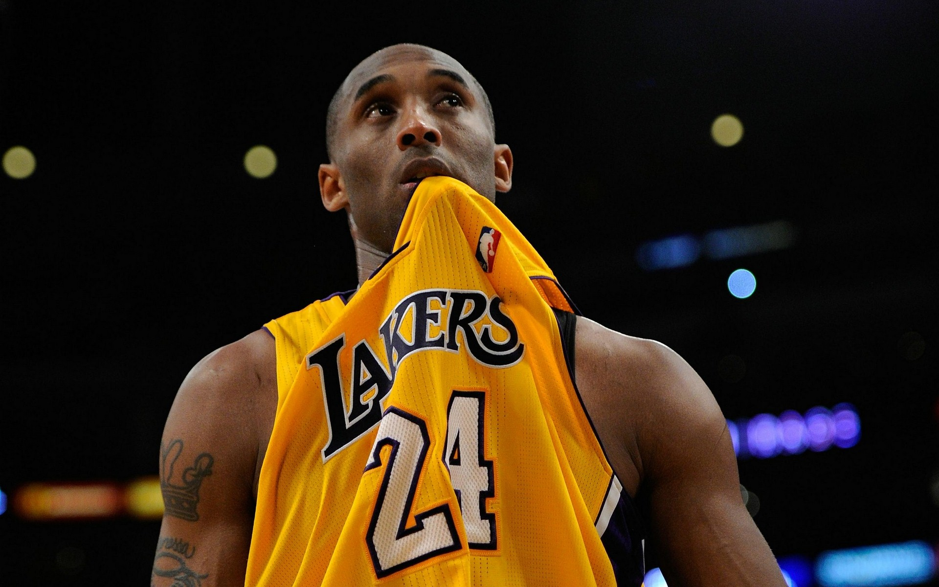 活在湖人的 活在湖人的