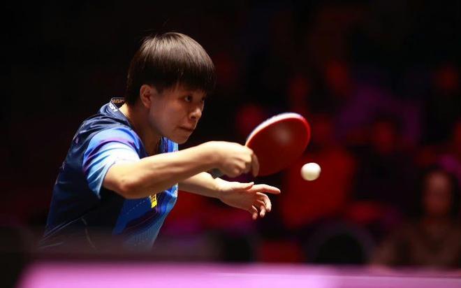 展中占据了 展中占据了