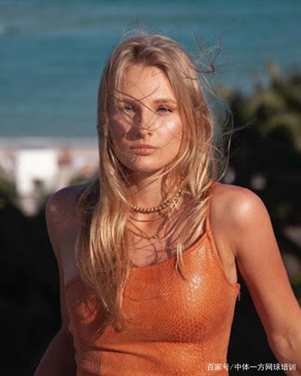 低脂低纤维 低脂低纤维