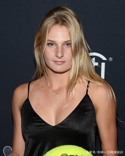 今天的收藏 今天的收藏